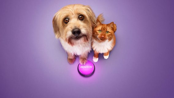 Bravecto taps into popular culture in first work from Bastion Group