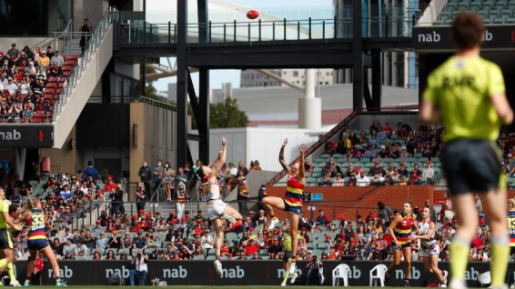 AFL partners with life insurer, TAL