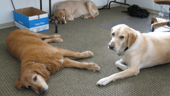 The best work perks in adland: part two