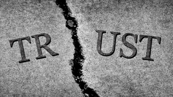 Trust your brand: The role of brand in building trust