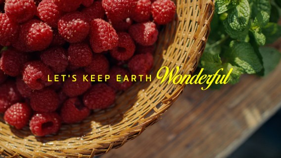 Deakin University champions optimism in new sustainability campaign, via SICKDOGWOLFMAN