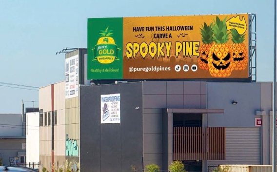 Aussies asked to ditch pumpkins for pineapples this Halloween