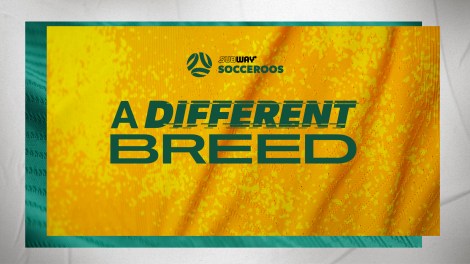Socceroos launch new brand campaign via Ogilvy