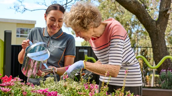 Whiddon and Ardent continues ‘Looking Forward’ campaign with new element