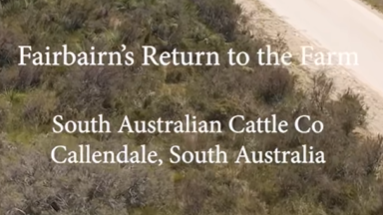 Fairbairn brothers feature in MLA’s new Australian Good Meat social campaign