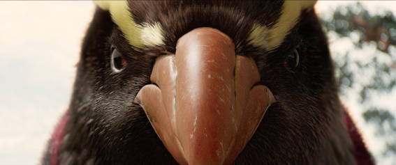 Contact Energy’s ‘Flatties’ campaign spotlights ‘rule-stickler’ Nigel