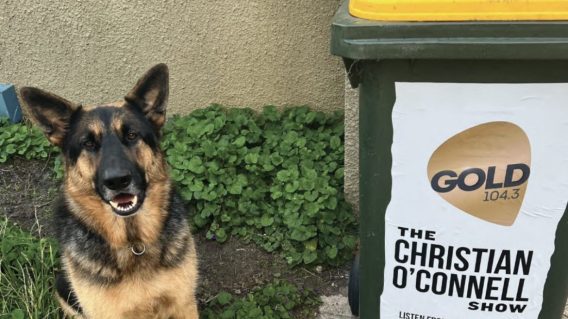 Christian O’Connell uses wheelie bins for new campaign: ‘Kyle and Jackie O had used up all of the marketing budget’