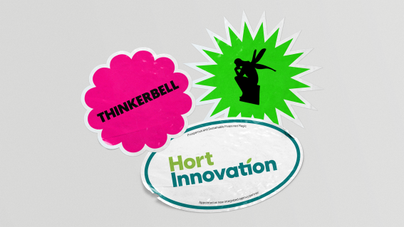 Hort Innovation looks to Thinkerbell for full-service market solution