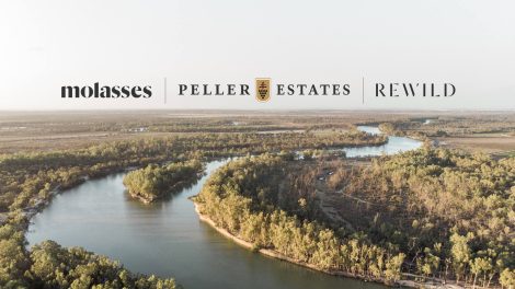 Molasses picked by Andrew Peller for ‘Rewild’ wine collaboration