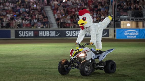 Partner with the Sydney Royal Easter Show: Unleash the power of your brand and reach engaged consumers