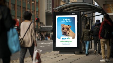 Them Advertising and RSPCA SA launch ‘Perfectly Adoptable’ campaign