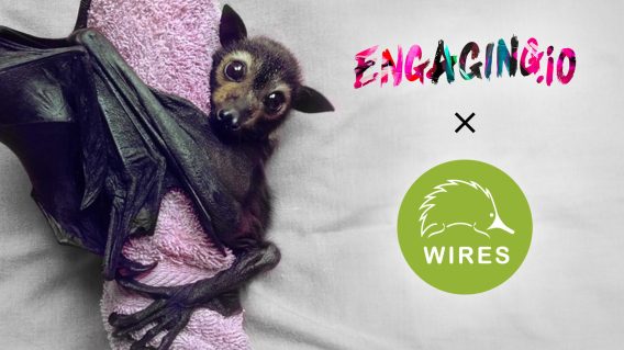 WIRES and Engaging.io secure partnership for HubSpot upgrades