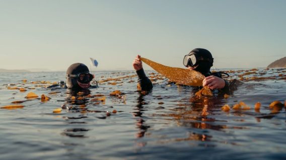 Pivotus partners with Scope3 for greater sustainability efforts