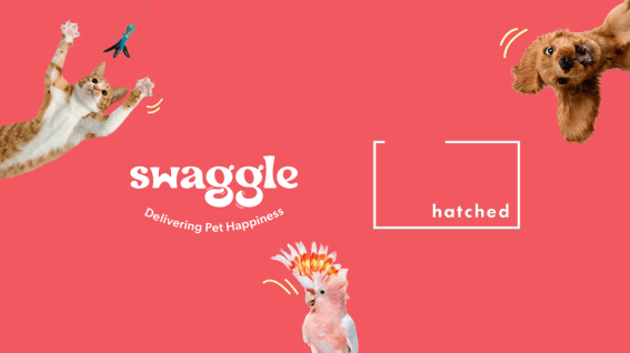 Newly-launched pet store brand appoints Hatched as media agency partner
