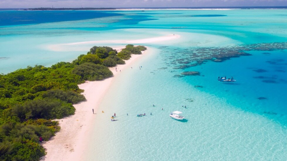 Another Nine executive takes an overseas holiday