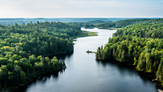 AANA officially introduces Environmental Claims Code