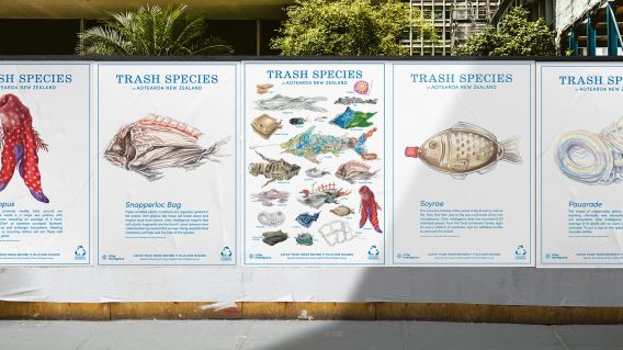 New Zealand Fish Species poster reimagined for environmental awareness, via Augusto and Sustainable Coastlines