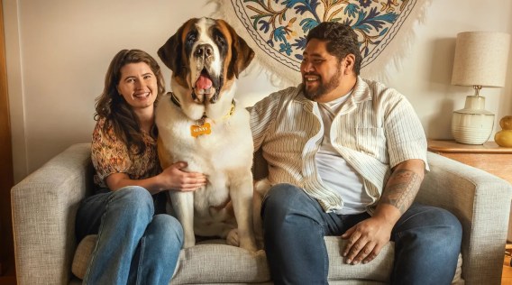 New Zealand’s favourite ads have been named