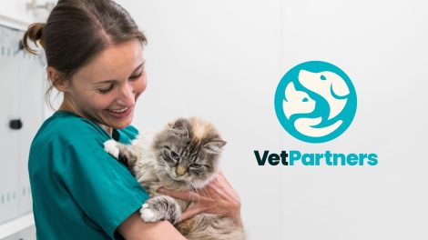 VetPartners receives new brand courtesy of Hulsbosch