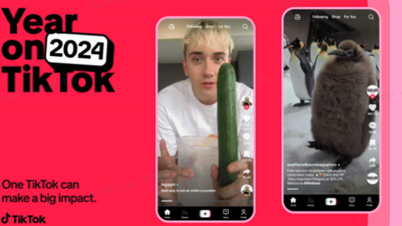 TikTok looks back at biggest trends of 2024