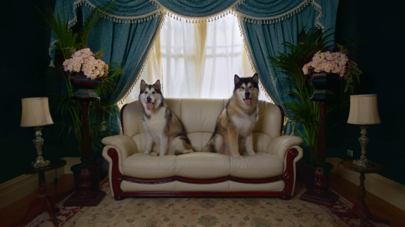 ANZ and Special deliver fresh campaign for ANZ Plus