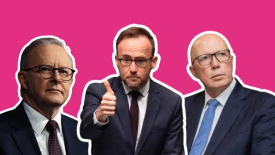 Anthony Albanese wins the TikTok game: Fabulate