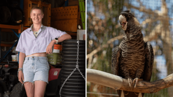 The Guardian releases ‘Last Chance’ extinction documentary series
