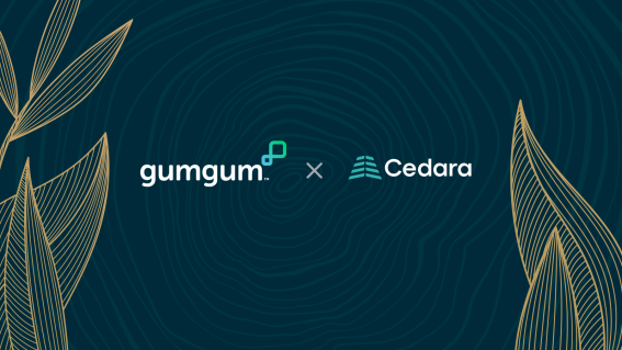 Gumgum officially delivers carbon efficient digital ads