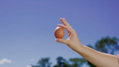 Aussie eggs take centre stage this Easter in Australian Eggs campaign, via Liquid Ideas