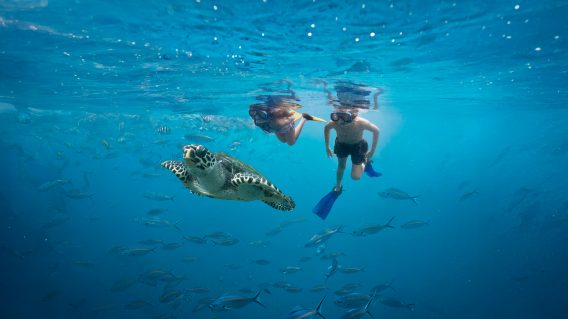 Swapping cocktails for conservation: Tourism Fiji reinvents happy hour