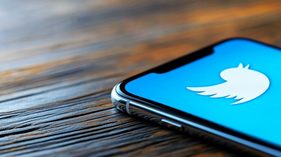 Government ad spending audit reveals Twitter ban