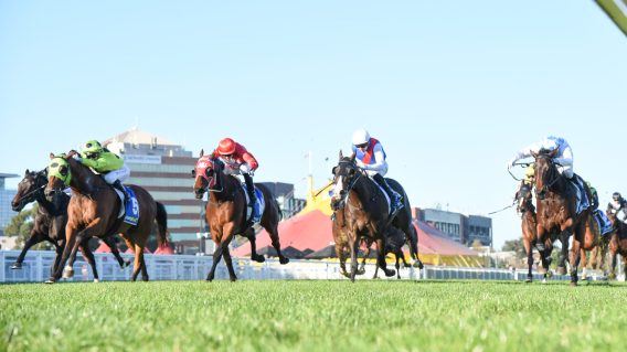 Foxtel Group bets on Sky Racing with expanded broadcasting deal