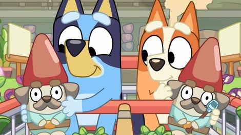 ‘I hope Bunnings don’t come after me’: Bluey creator’s Hammerbarn fear