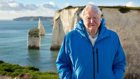 David Attenborough’s latest documentary scores huge Australian box office numbers