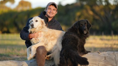 Mission Paws’ible releases campaign urging Aussie travellers to help Bali’s street dogs