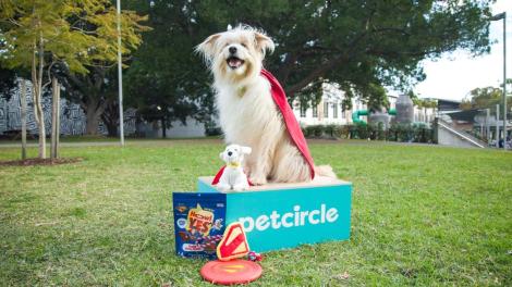 Pet Circle partners with Warner Bros and DC Studios for Superman-themed campaign alongside website relaunch