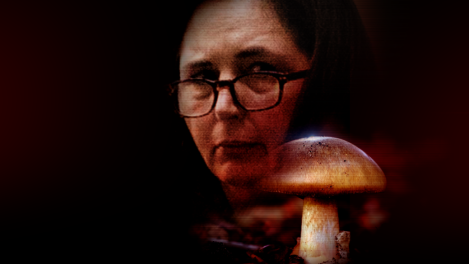 Who’s winning the mushroom murder TV ratings war this week?