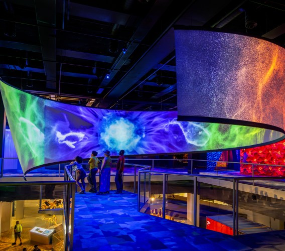 Museums Victoria unveils ‘Our Wondrous Planet’ gallery with immersive film by Resolution Design