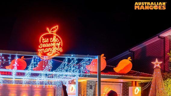 Australian Mangoes teams up with Sydney father for Christmas lights display