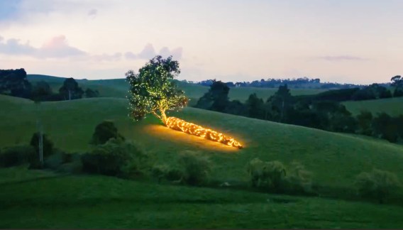 Woolworths recycles 2024 Christmas ad, redirects marketing budget