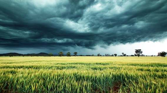 BOM comms crisis? No, it’s something much worse