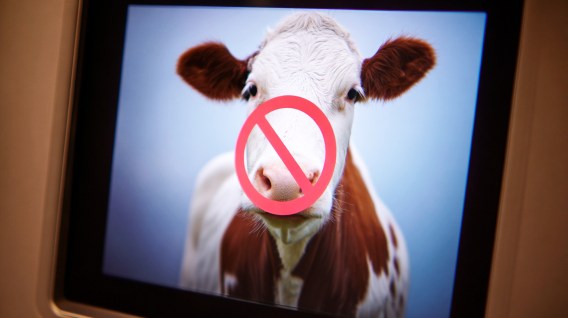 ‘Why buy the cow?’ IAB Tech Lab warns publishers over AI traffic losses