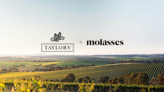 Taylors Wines appoints Molasses across brand portfolio