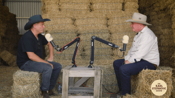 Right-wing politicians lifting Stefanovic’s podcast numbers