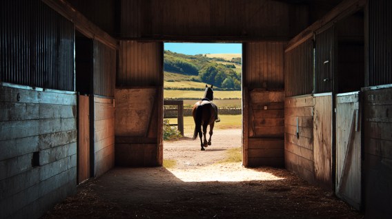 ACMA clocks up two decades of failing to close Kyle’s stable door