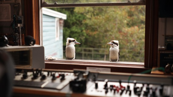 An open letter to audio nerds